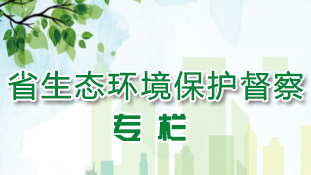 省生态环境保护督察